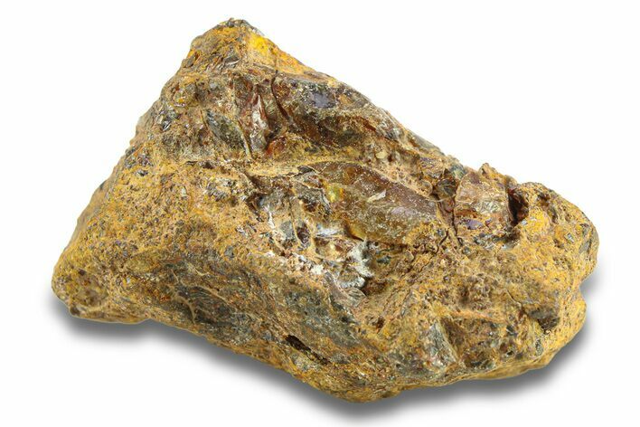 Pallasite Meteorite ( g) - NWA #281432